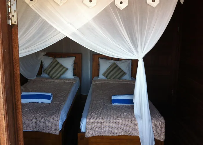 Dream Huts